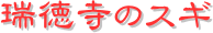 y[W^CgF̃XM