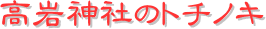 y[W^CgF_Ђ̃g`mL