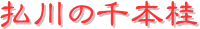 y[W^Cgi̐{jj