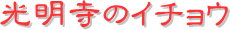 y[W^CgĩC`Ej