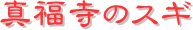 y[W^Cgi^̃XMj