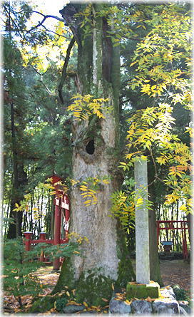 �摜�F���v�u�ސ_�Ђ̃��N���W_1