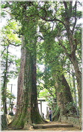 �摜�F�򒹐_�Ђ̃X�M