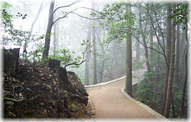 画像:極楽寺遊歩道