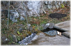 画像：穂見神社の大ケヤキの根元に湧く湧水