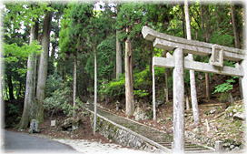 画像:岩上神社の夫婦スギ