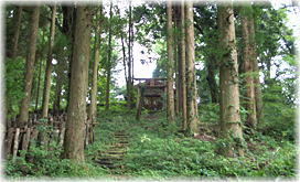 画像:向山神社境内