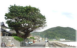 �摜�F���э�̞Ձi���i�j