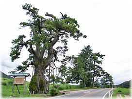 �摜�F��߂̏��i�S�i�j