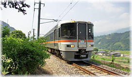 画像:島尻の大カヤの横を通る身延線電車