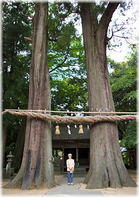 画像：大年神社の夫婦杉（幹と並ぶ）