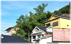 画像:高塚地蔵のイチョウ(遠景)