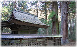 画像：摂社山宮神社の夫婦杉