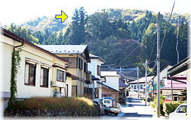 画像:温泉八幡神社の夫婦杉(遠景)