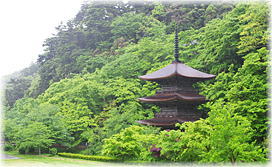 画像:金剛院三重塔