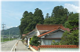 画像:白鬚神社々叢