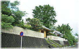 画像:如意寺のイチョウ(遠景)