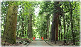 画像:狭野神社参道