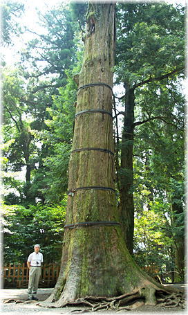 �摜�F�����_�Ђ̃X�M�i���ƕ��ԁj