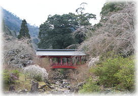 画像:清明橋