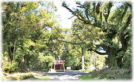 画像:笠祇神社参道 画像:笠祇神社参道