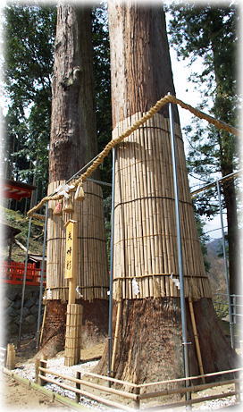 �摜�F���R�_�Ђ̕v�w��