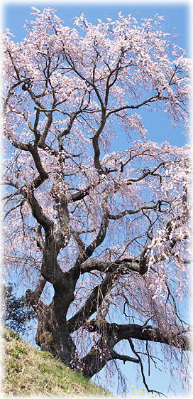 �摜�F�֐��˂̂������