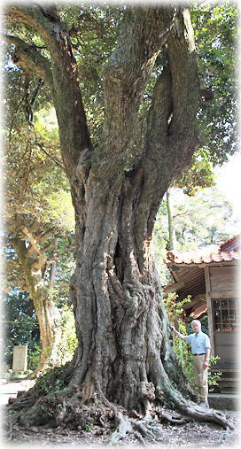 �摜�F�����_�Ђ̃c�u���W�C