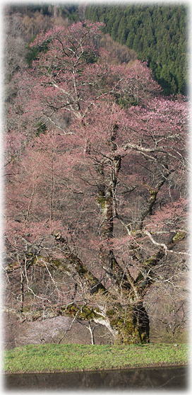 �摜�F��Ȃ��̍�