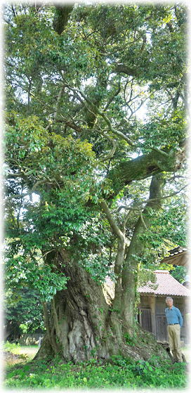 �摜�F���q�F���_�Ђ̃X�_�W�C