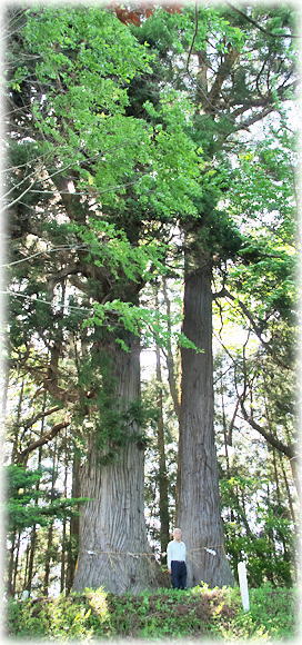 �摜�F�H�t�_�Ђ̕v�w��