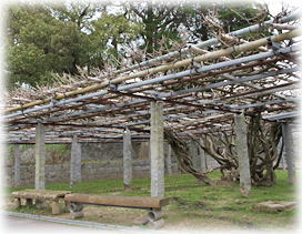 �摜�F���茵���_�Ђ̃t�W_1