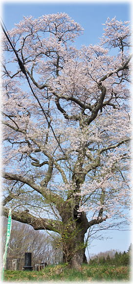 �摜�F�K�E�q���