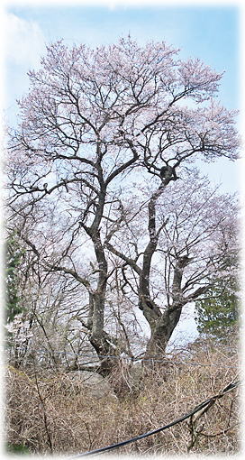 �摜�F�������̍�