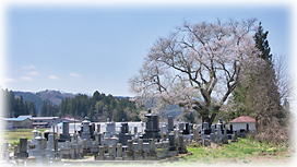 �摜�F����̎펪��_2