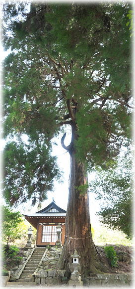 �摜�F�����V���{�̃X�M