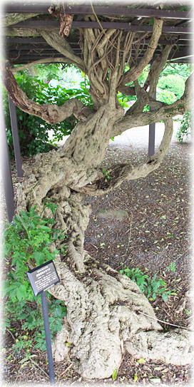 �摜�F���o���̃V���t�W