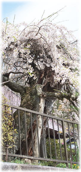 �摜�F��掛�̍�