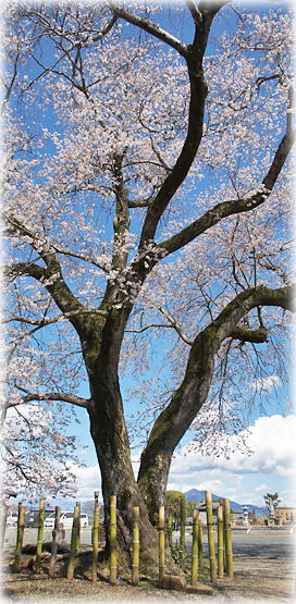 �摜�F���Ȋω����̃G�h�q�K��