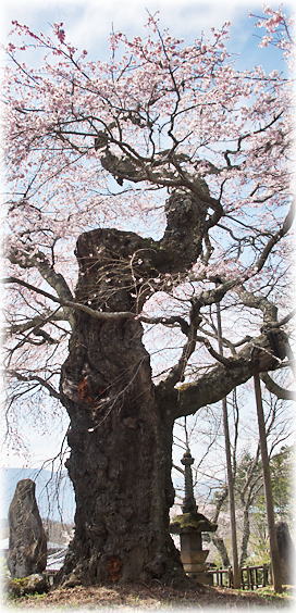 �摜�F���X�ω����̎}����