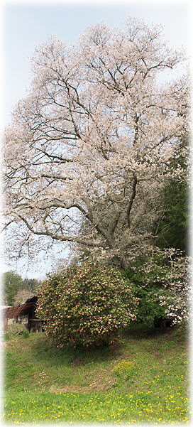 �摜�F�������̍�