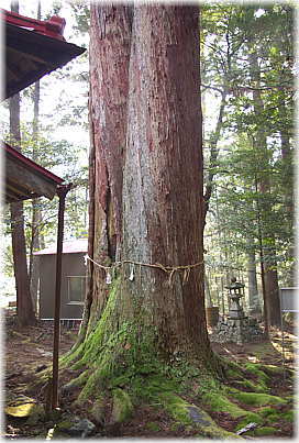 �摜�F�񖓂̑吙