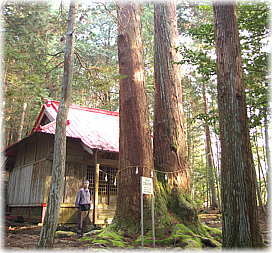 �摜�F�񖓂̑吙�i���ƕ��ԁj