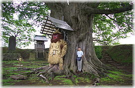 画像:本堂城址のケヤキ(幹と並ぶ)