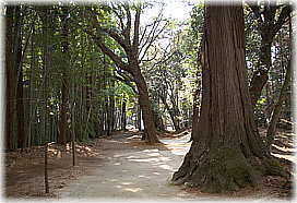 画像:潮宮神社参道