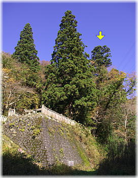 画像:風谷町八幡神社(遠景)