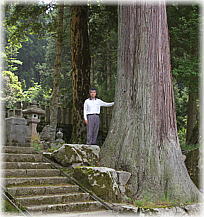 画像:白山神社の大杉(幹と並ぶ)