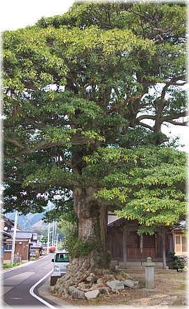 �摜�F���c�ω����̃^�u�m�L_2