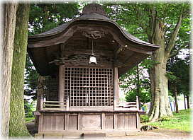画像:酒室神社のケヤキ