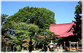 画像：山王日枝神社